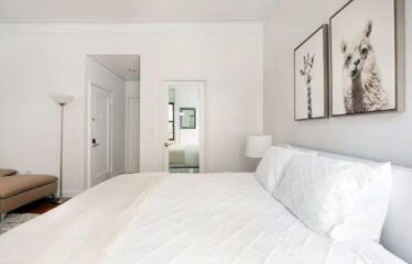 Excellent studio apartment in the heart of Chelsea